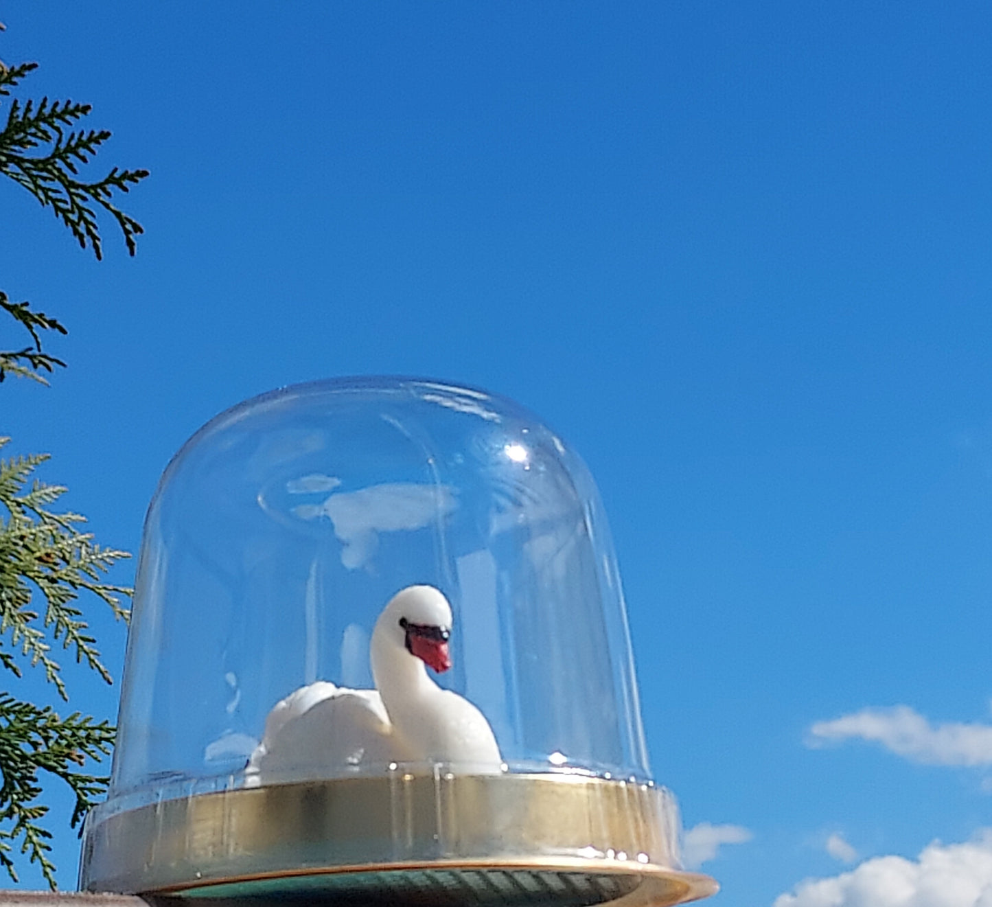 Handcrafted Swan-Shaped Soap: A Symbol of Elegance and Luxury