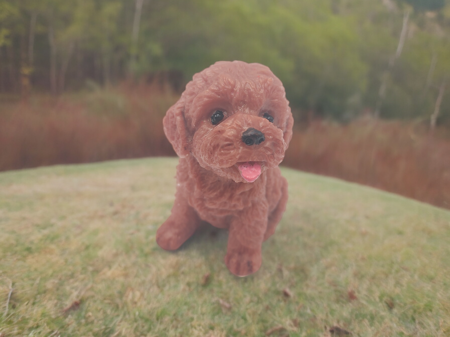 Adorable Poodle Puppy Soap