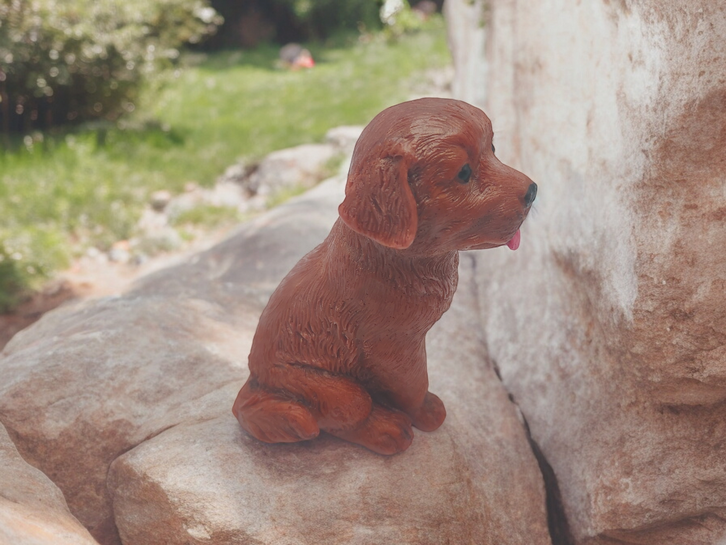 Labrador Soap Bar