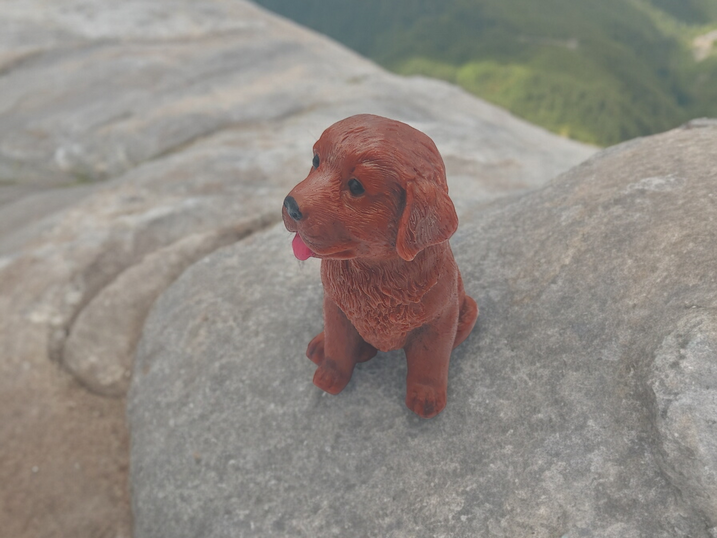 Labrador Soap Bar